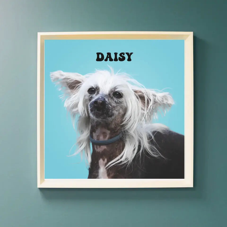 Custom Pet Canvas Print - Turn Your Pet Photo Into a Timeless Portrait