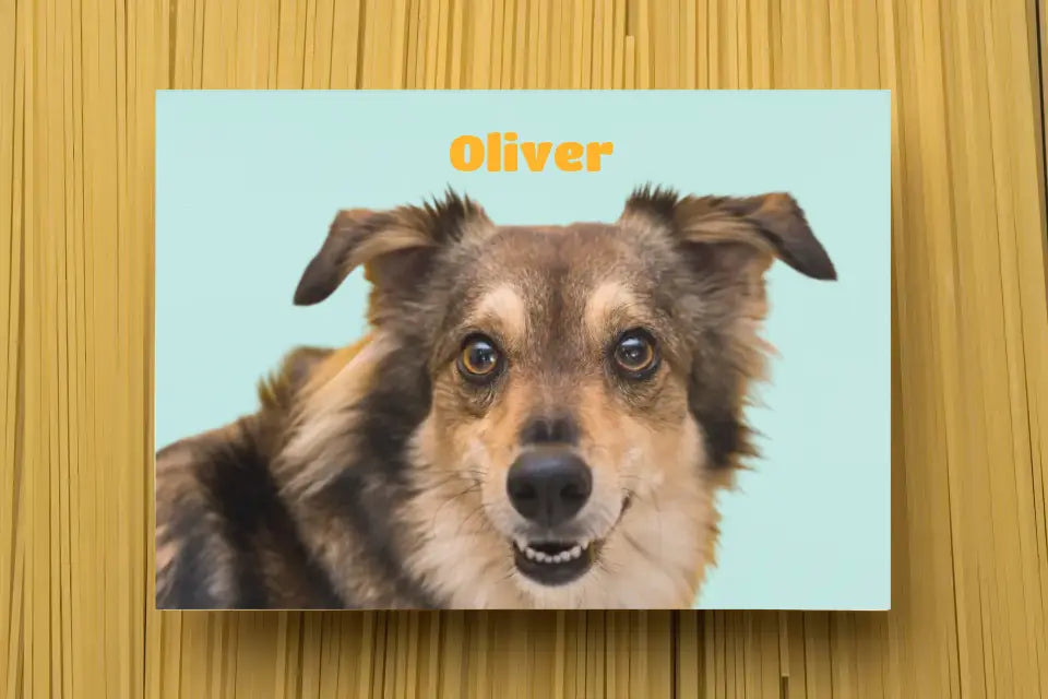 Custom Pet Canvas Print - Turn Your Pet Photo Into a Timeless Portrait