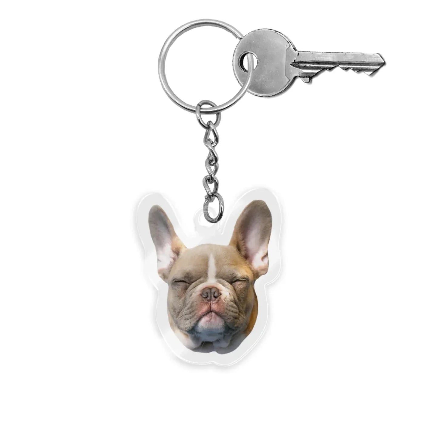 customacrylickeychaindogflatdisplay
