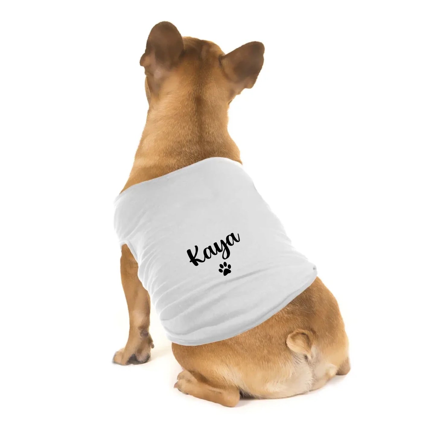 pet-shirt-insitu-1_1664578609